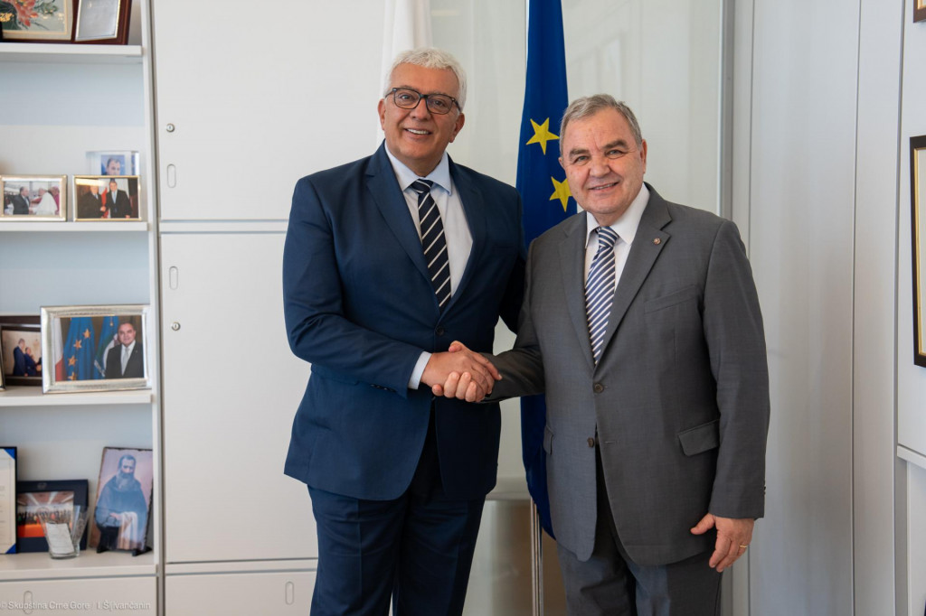 Mandić i Feruđi u septembru ove godine