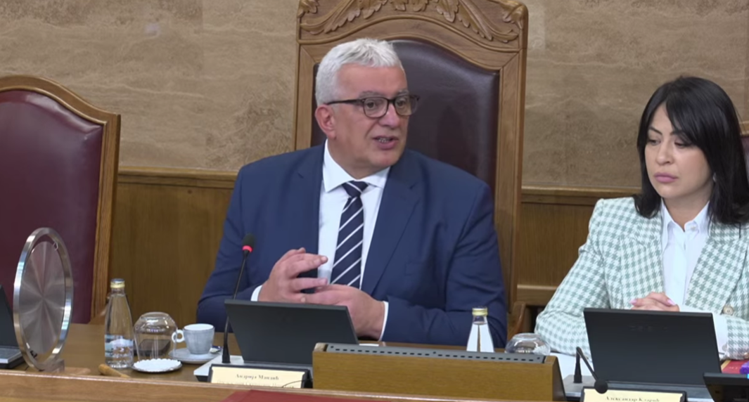 Andrija Mandić (Foto: Skupština Crne Gore - stop kadar)