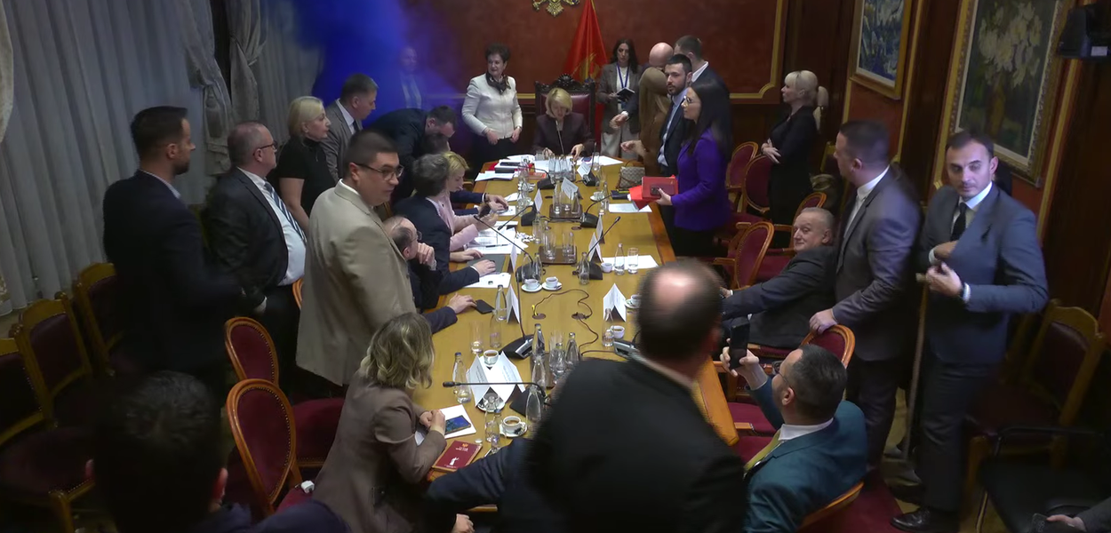 USTAVNI PUČ VEĆINE: Predsjednica Ustavnog odbora Jelena Božović sprovela nalog