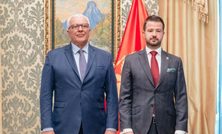 Mandić i Milatović (Foto: Kabinet predsjednika Crne Gore - arhiva)