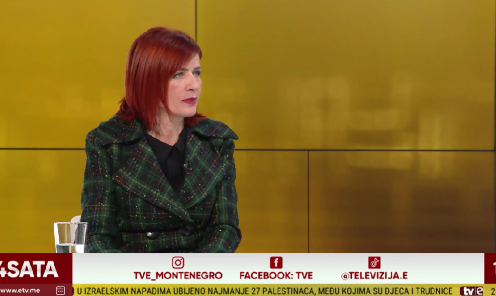 Vesna Simović Zvicer (Foto: TV E - stop kadar)