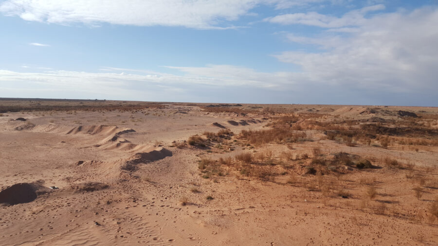 (Foto: Shutterstock / moon.laight)