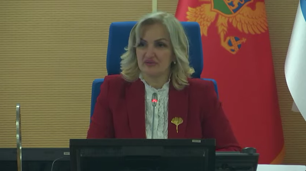  (Foto: Skupština Glavnog grada Podgorica/Youtube)