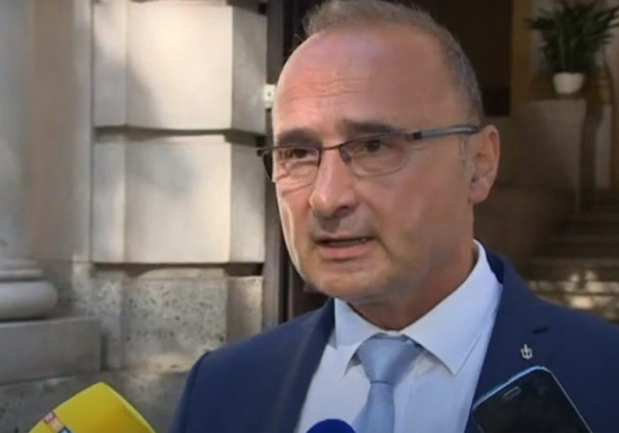 Gordan Grlić Radoman (Foto: HRT - stop kadar)