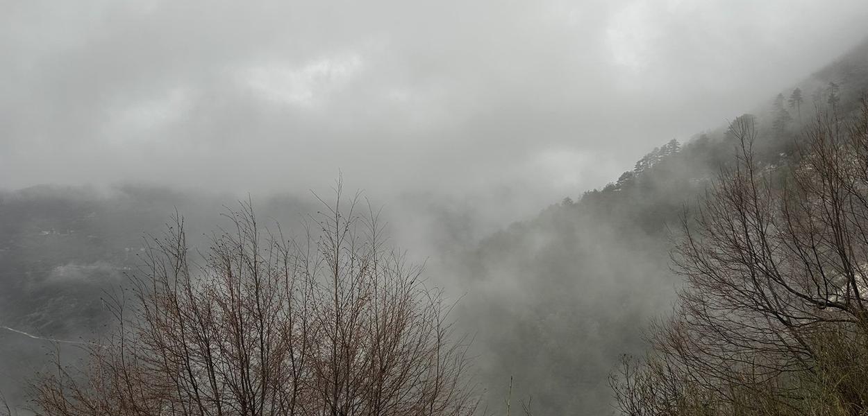 (Foto: Portal ETV/D.M.)