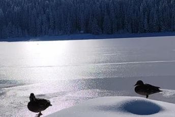  (Foto: Nacionalni parkovi Crne Gore)