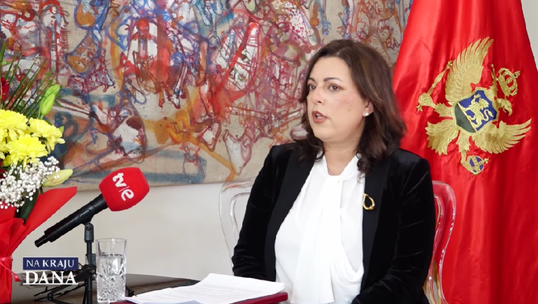 Tamara Vujović (Foto: TV E - stop kadar)