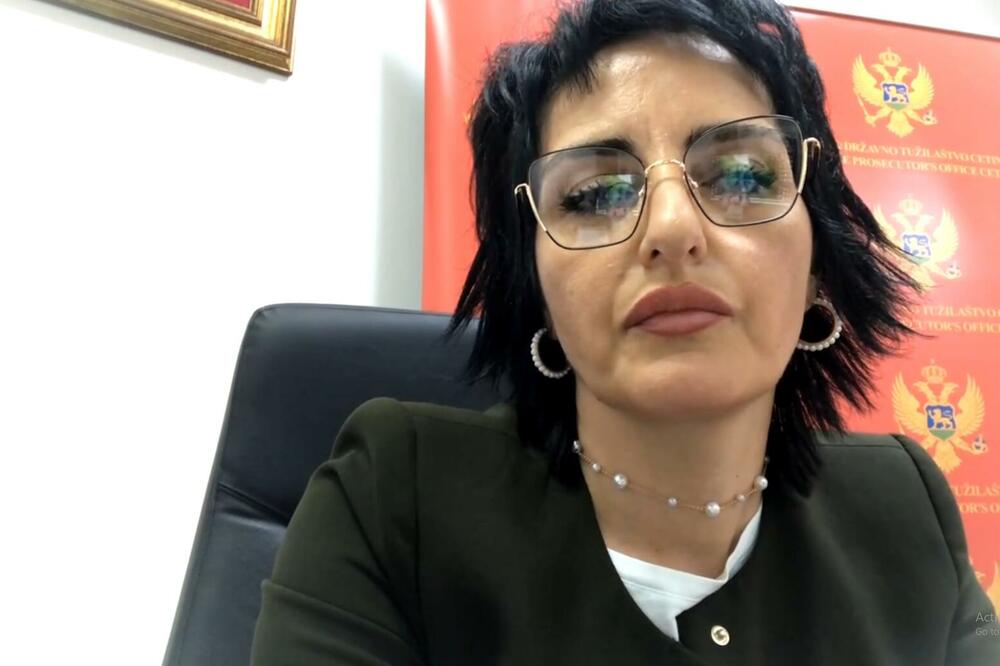 Sanja Radunović (Foto: TV Vijesti - stop kadar)