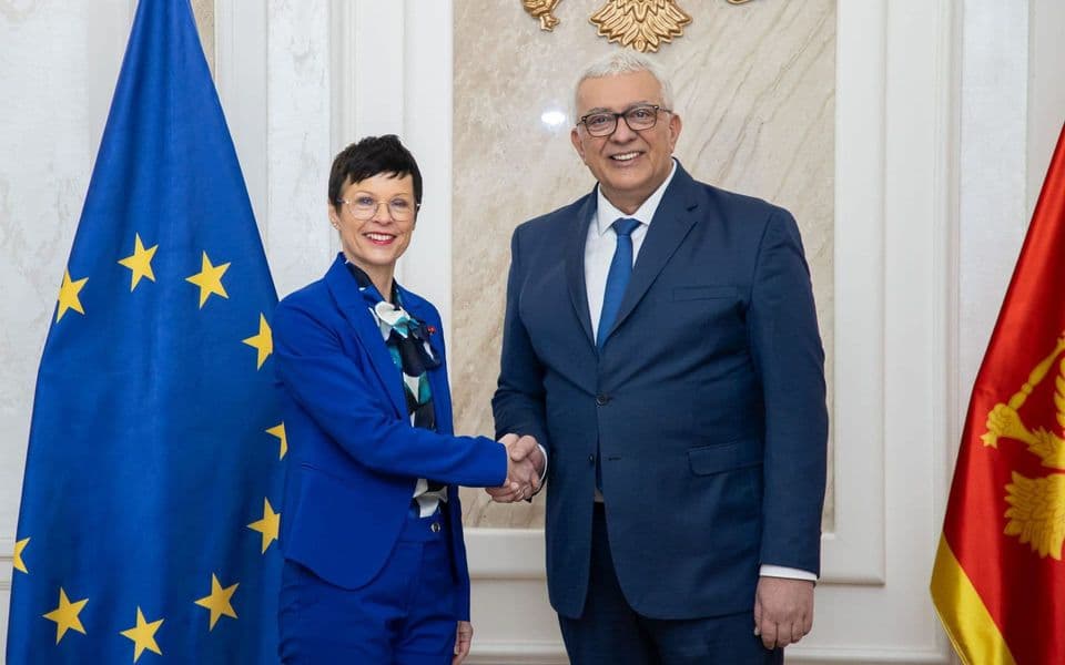 ALISA U ZEMLJI ČUDA: Marta Kos i Andrija Mandić (Foto: Skupština Crne Gore)