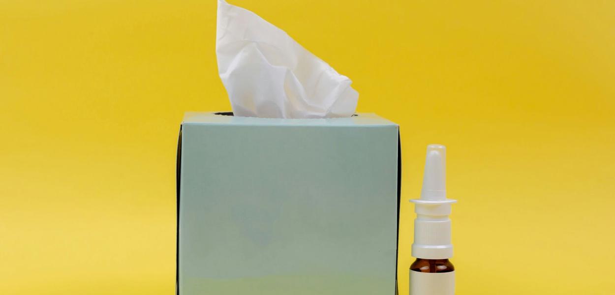 (Foto: Diana Polekhina (Unsplash))