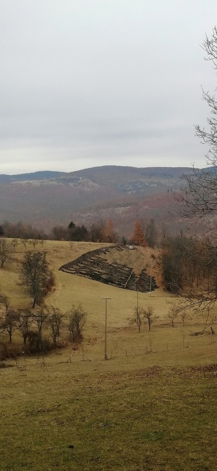 Livada na kojoj je izgorio službeni automobil Rudnika uglja Pljevlja