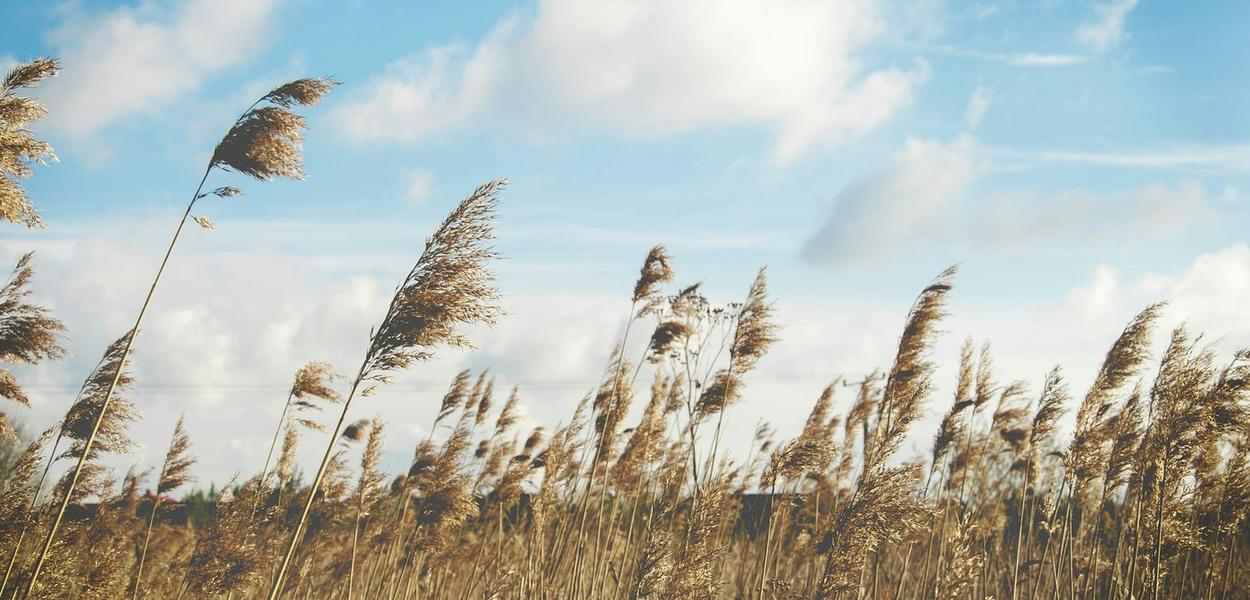 Ilustracija (Foto: Unsplash)