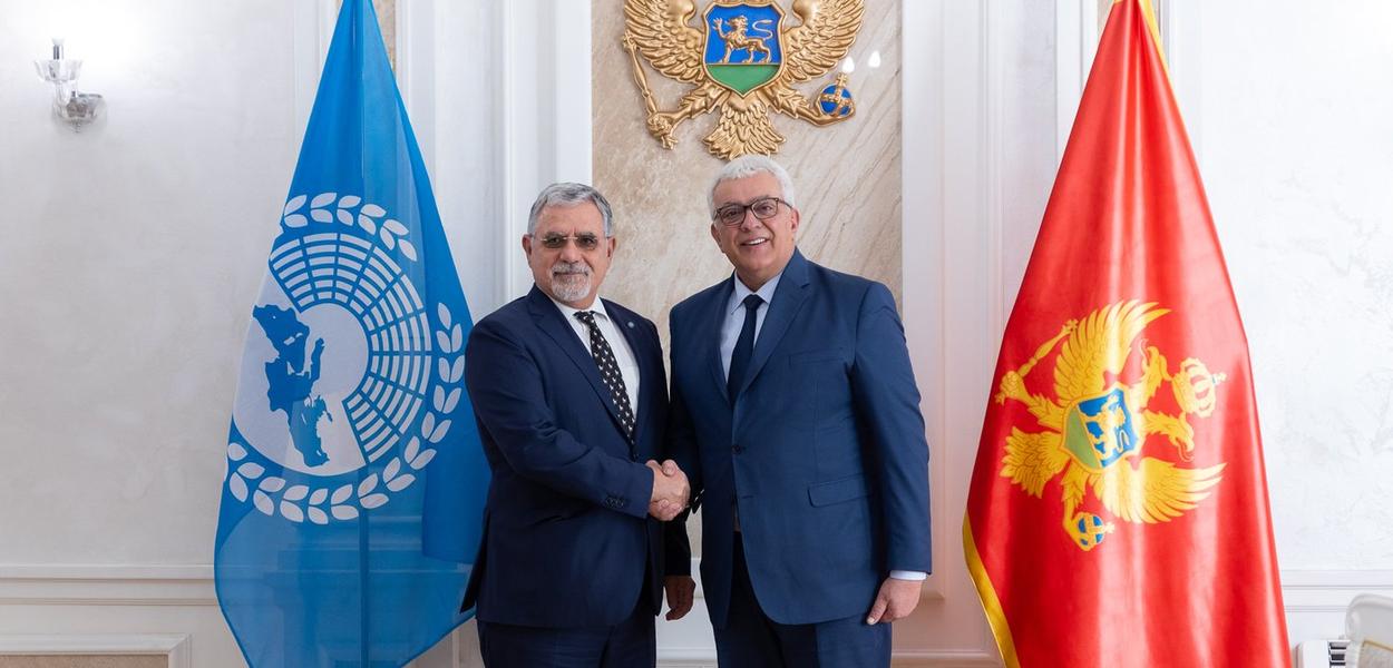 (Foto: Skupština Crne Gore)