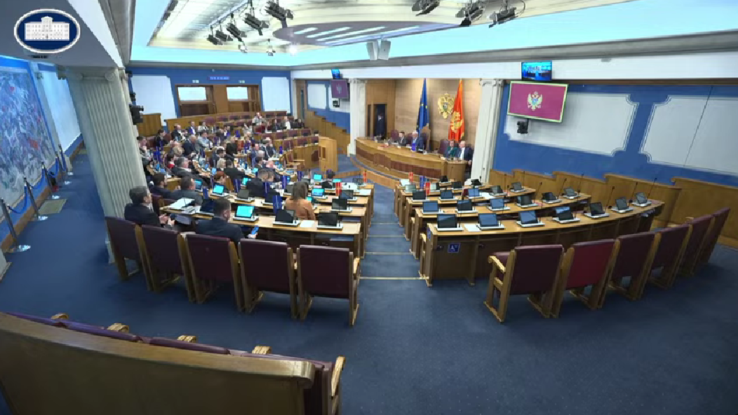 (Foto: Skupština Crne Gore/Youtube)