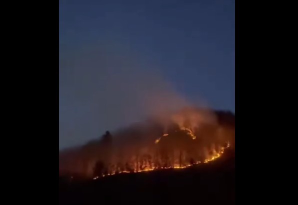 Požar (Foto: Vijesti iz Bijelog Polja)