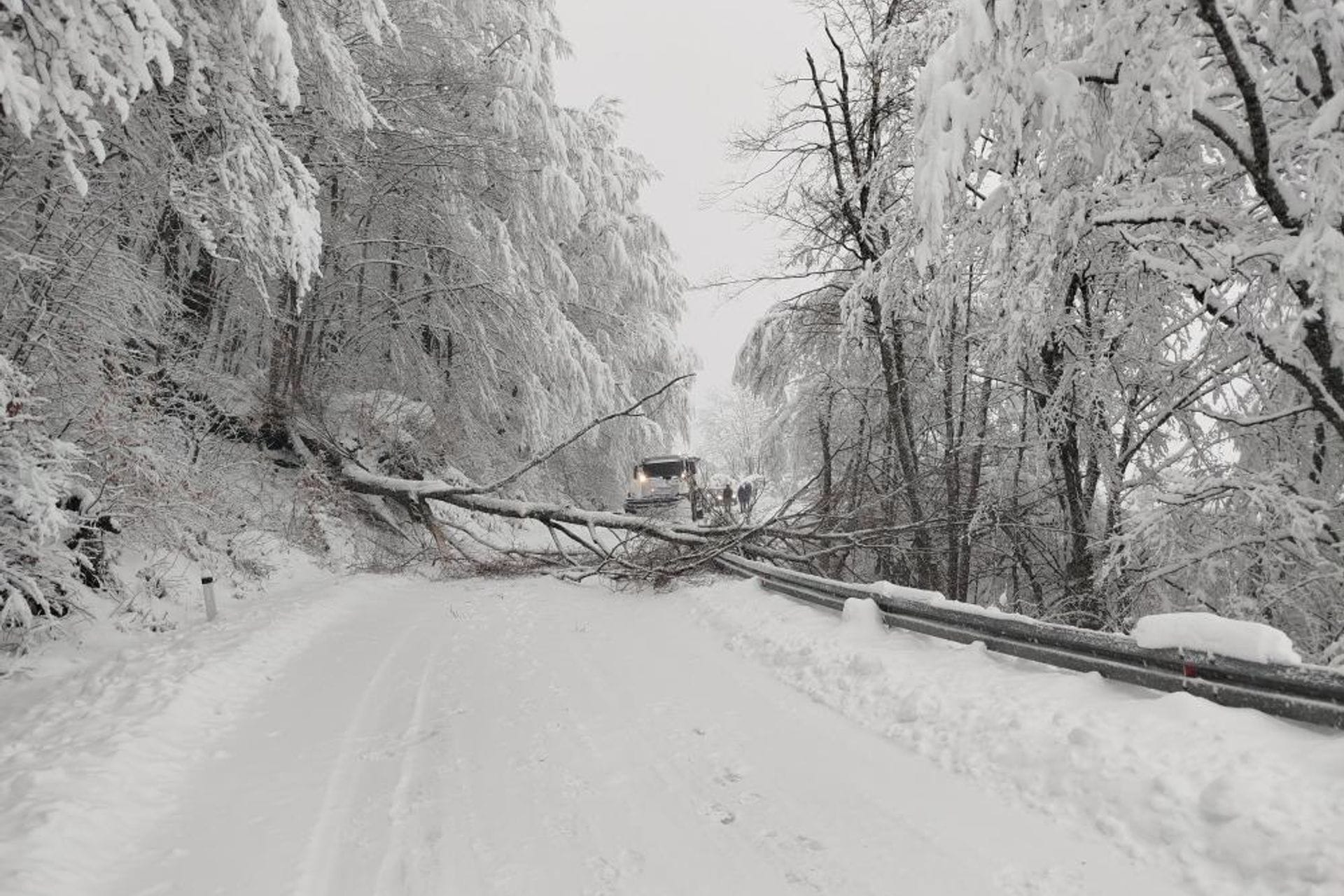 Nijesu čekali nadležne službe