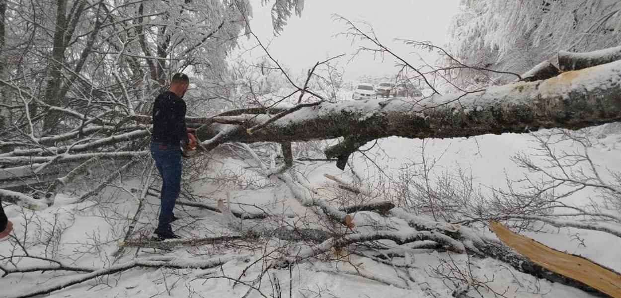 Nijesu čekali nadležne službe (Foto: Portal Analitika)