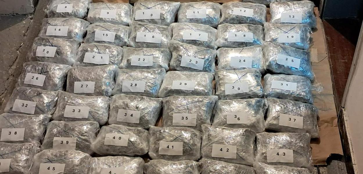 Zaplijenjena marihuana (Foto: Uprava policije)