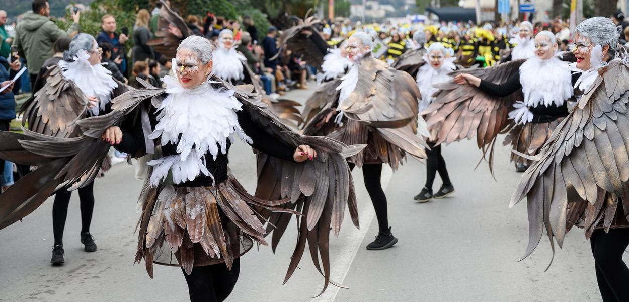 (Foto: Krsto Vulovic)