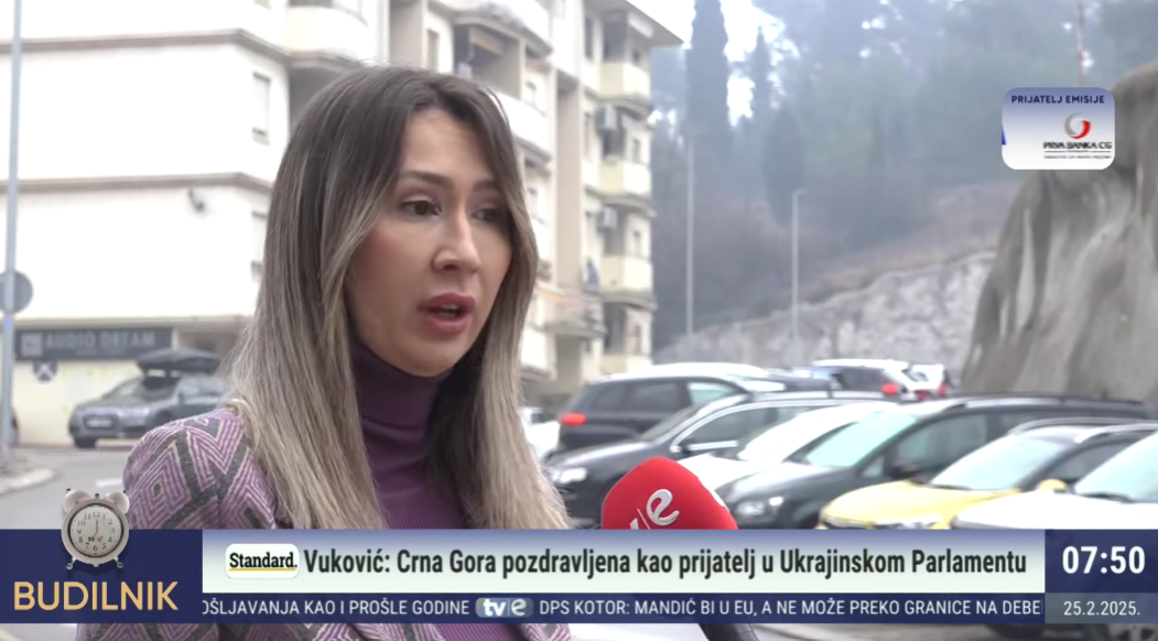 Mirjana Pajković (Foto: TV E/Youtube)