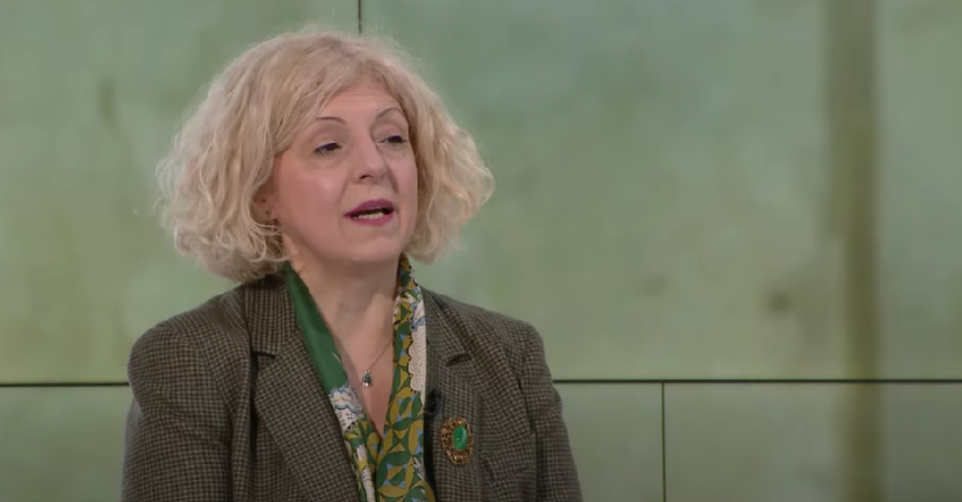 Biljana Jovićević (Foto: TV E - stop kadar)