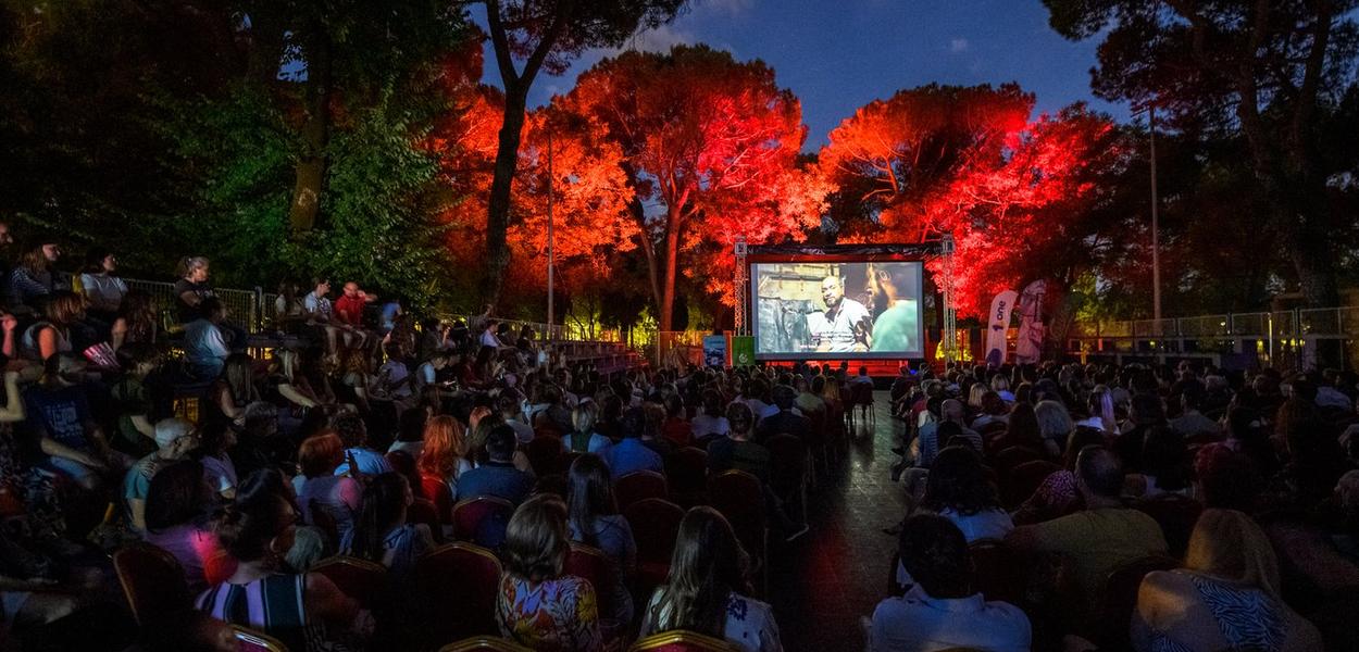 (Foto: Krsto Vulovic)