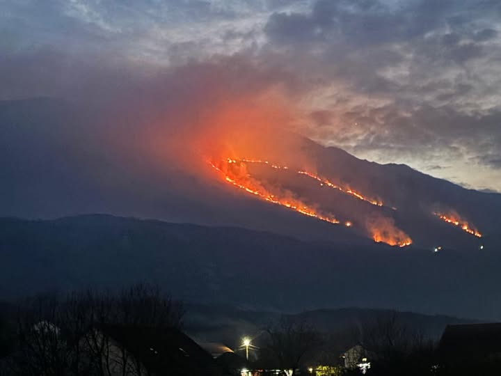  (Foto: Aleksandar Grgurović/Facebook)