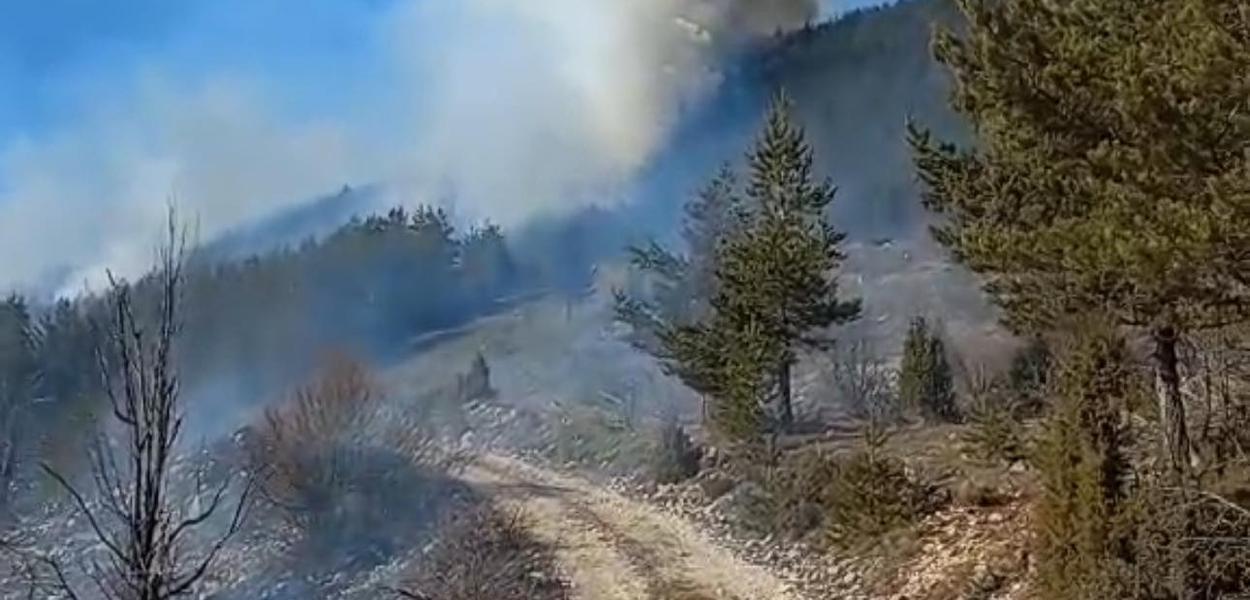 (Foto: Služba zaštite i spašavanja Žabljak)