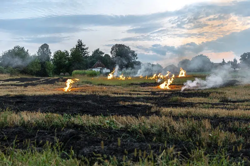 Ilustracija (Foto: elements.envato)