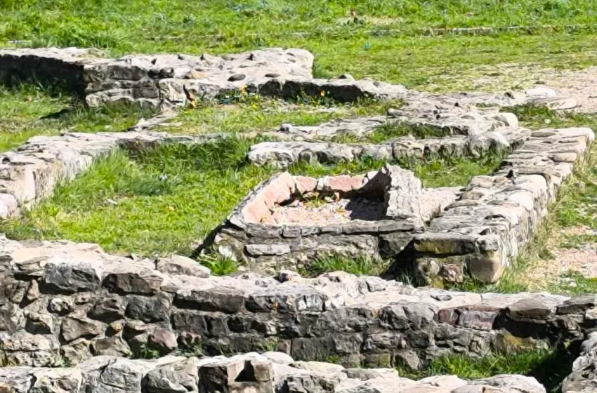 Barski trikonhos (Foto: Neđeljko Ðurović)