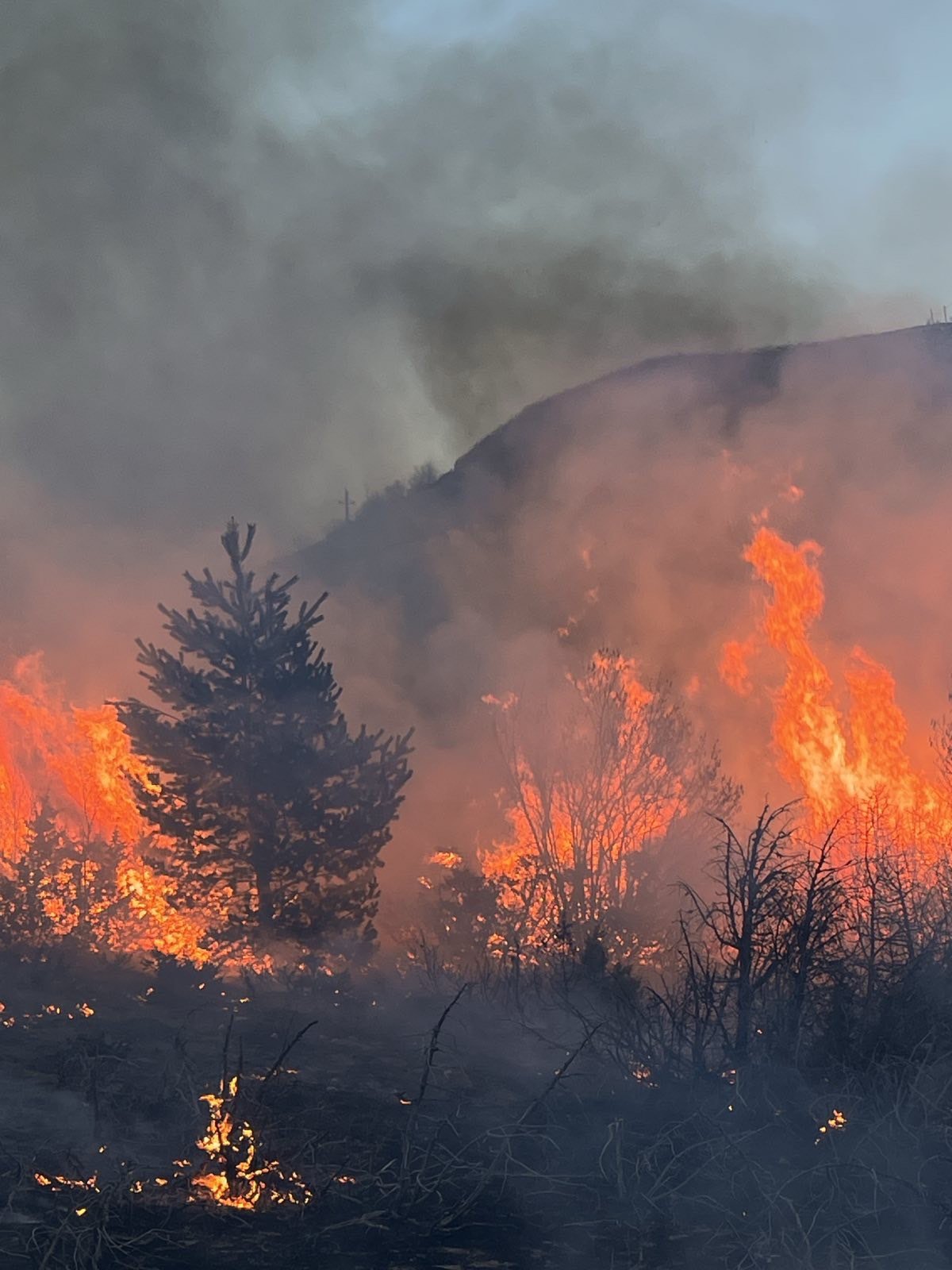 Požar u Šavniku (Foto: Služba zaštite i spašavnja Šavnik)
