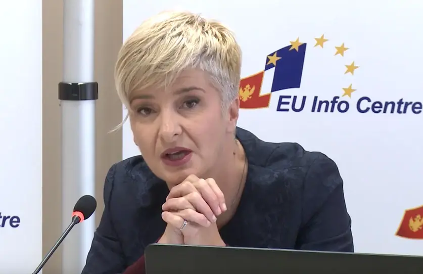 Dušanka Pejović (Foto: Institut za medije/Jutjub)