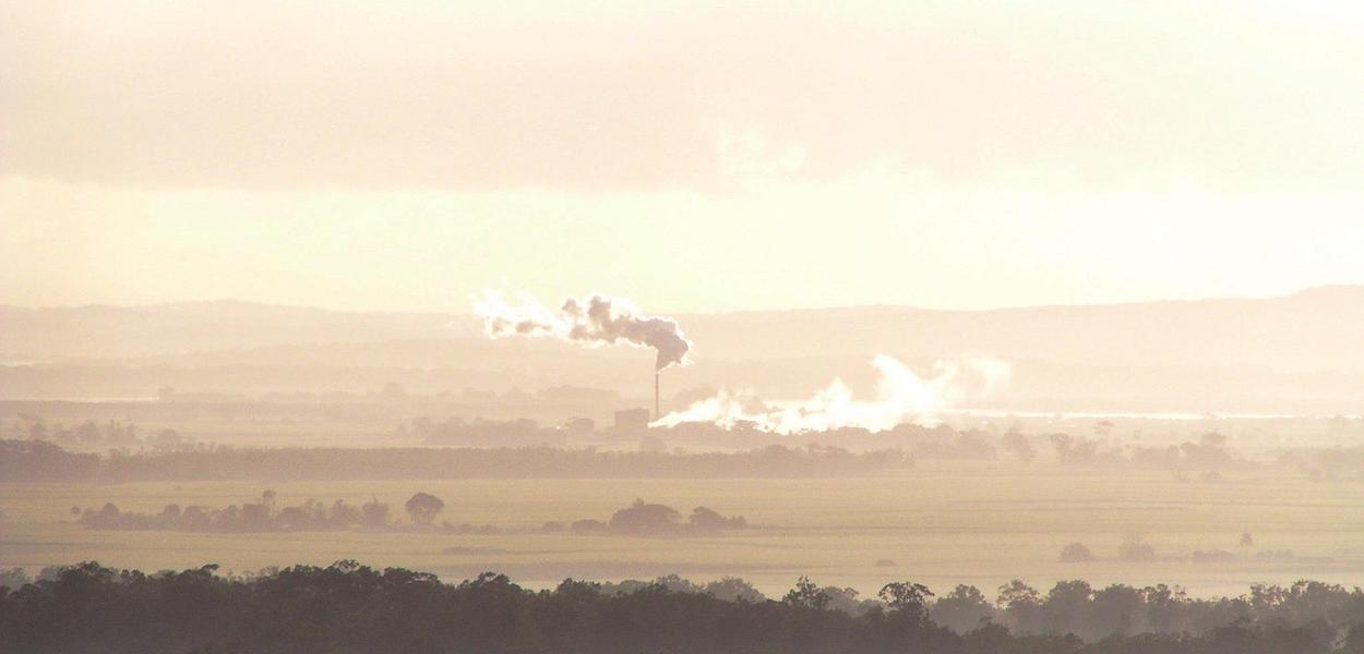 (Foto: Siggy Nowak/Pixabay)