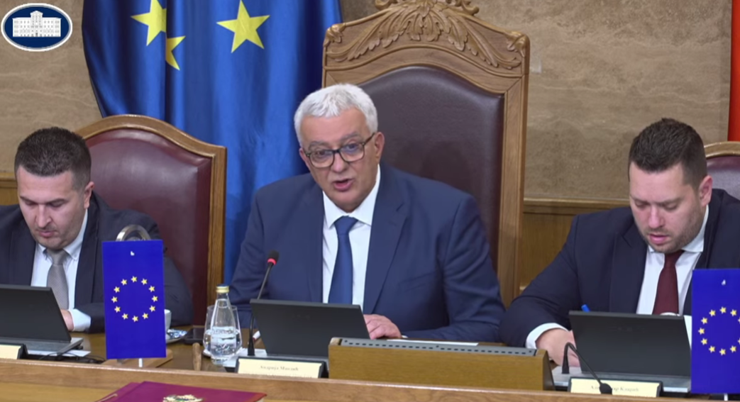 Andrija Mandić (Foto: Skupština Crne Gore - stop kadar)