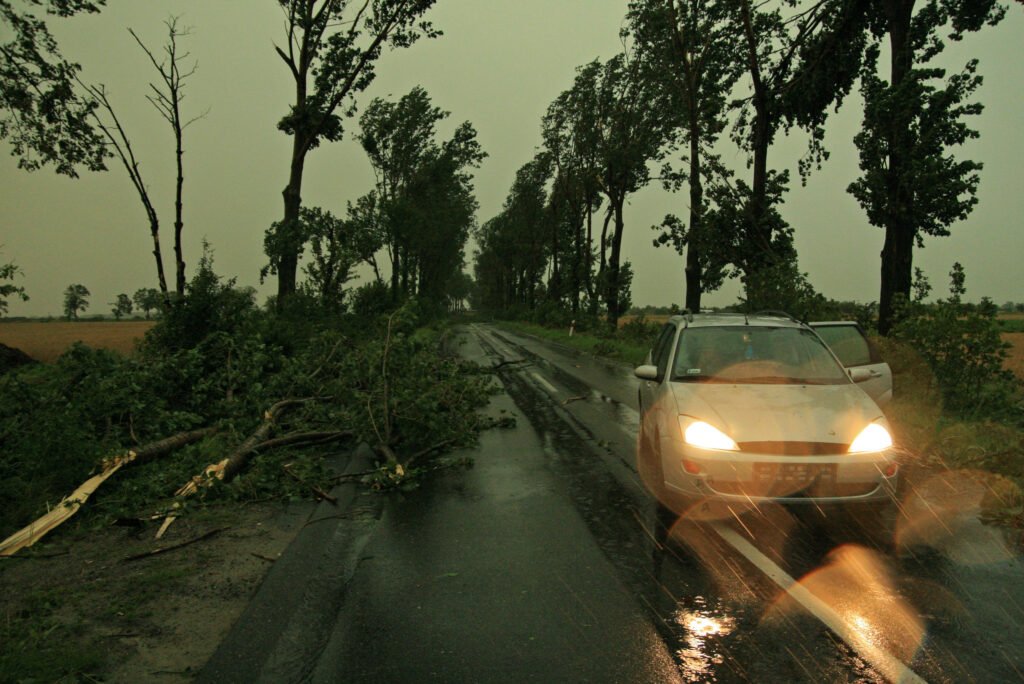 (Foto: Shutterstock/bayazed)