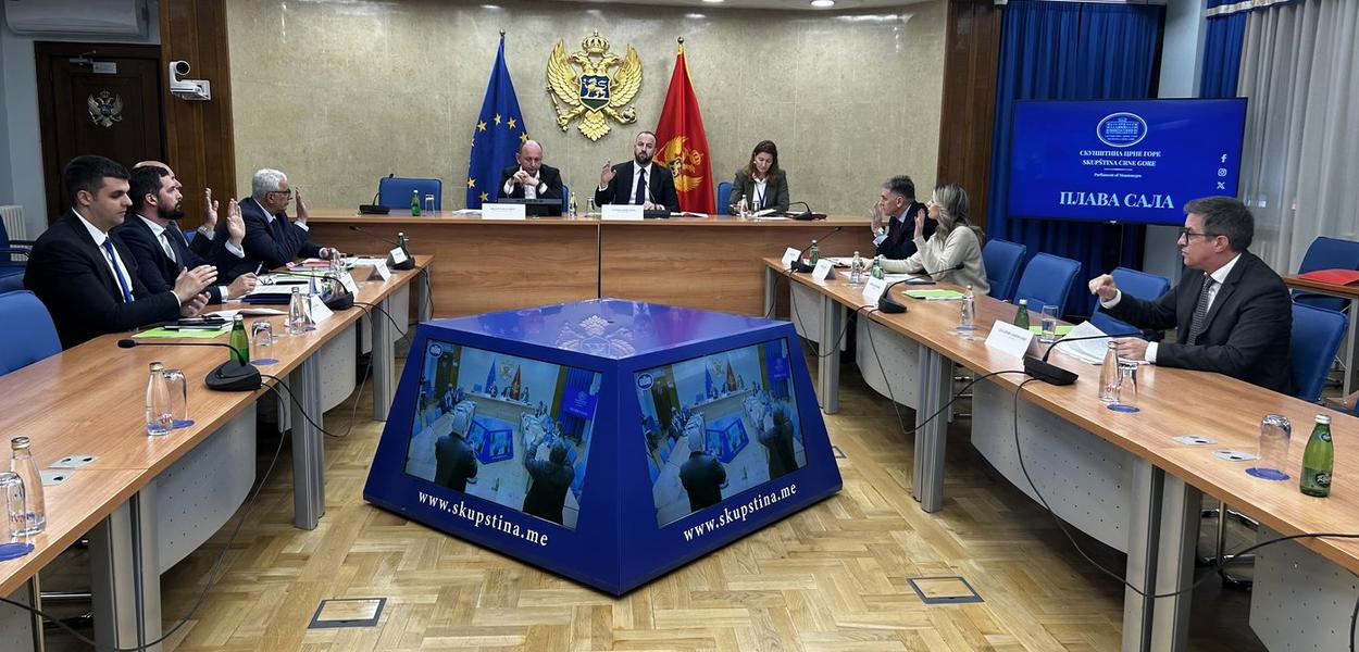 Anketni odbor (Foto: Portal ETV/Duško Mihailović)