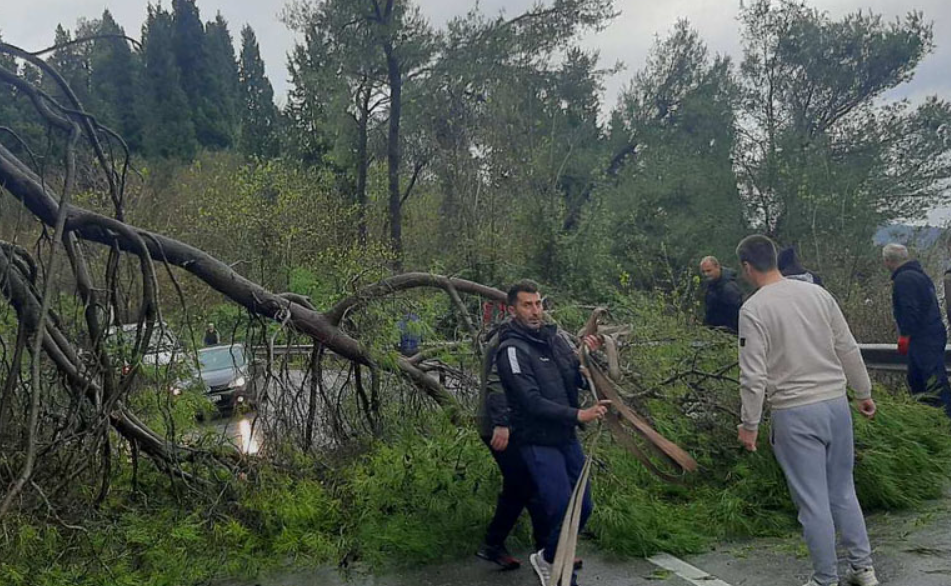Uklanjanje palog stabla (Foto: Bar info)