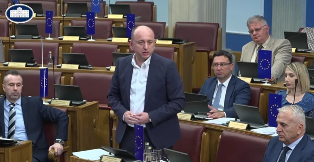 Milan Knežević (Foto: Skupština Crne Gore/Jutjub)