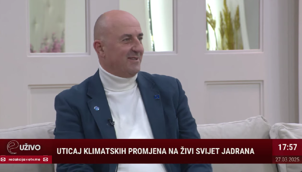 Aleksandar Joksimović (Foto: TV E/Youtube)