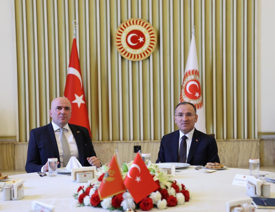 (Foto: Skupština Crne Gore)