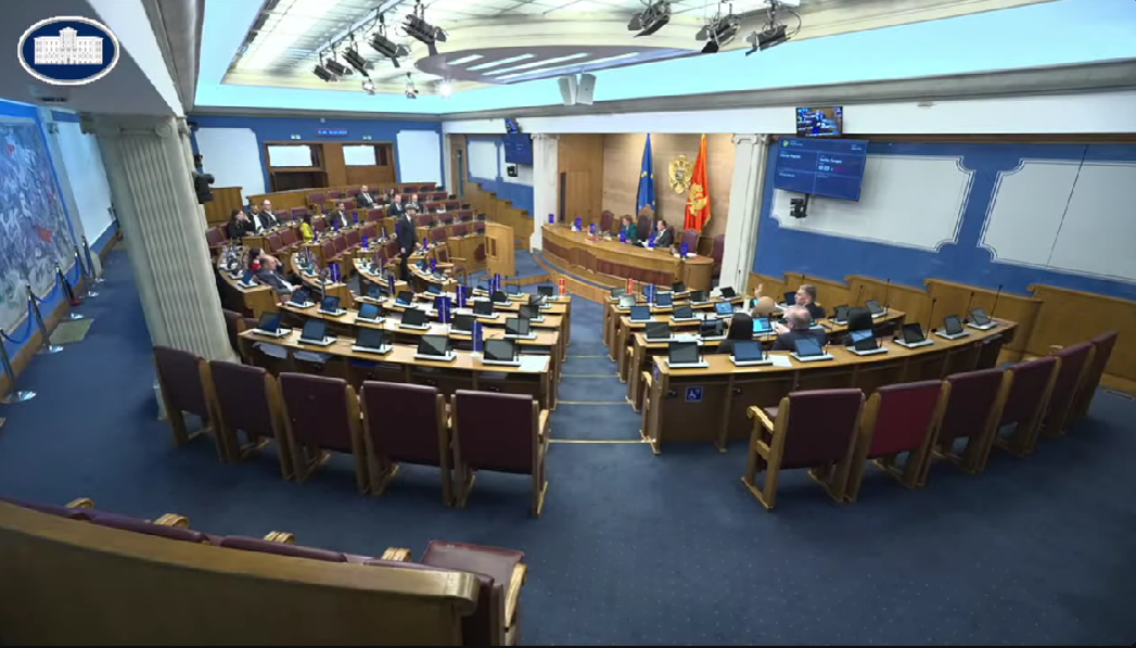 (Foto: Skupština Crne Gore/Youtube)