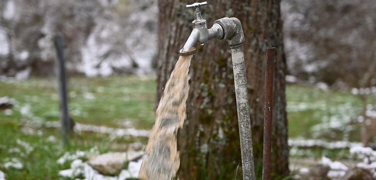 (Foto: Portal ETV/A.H.)