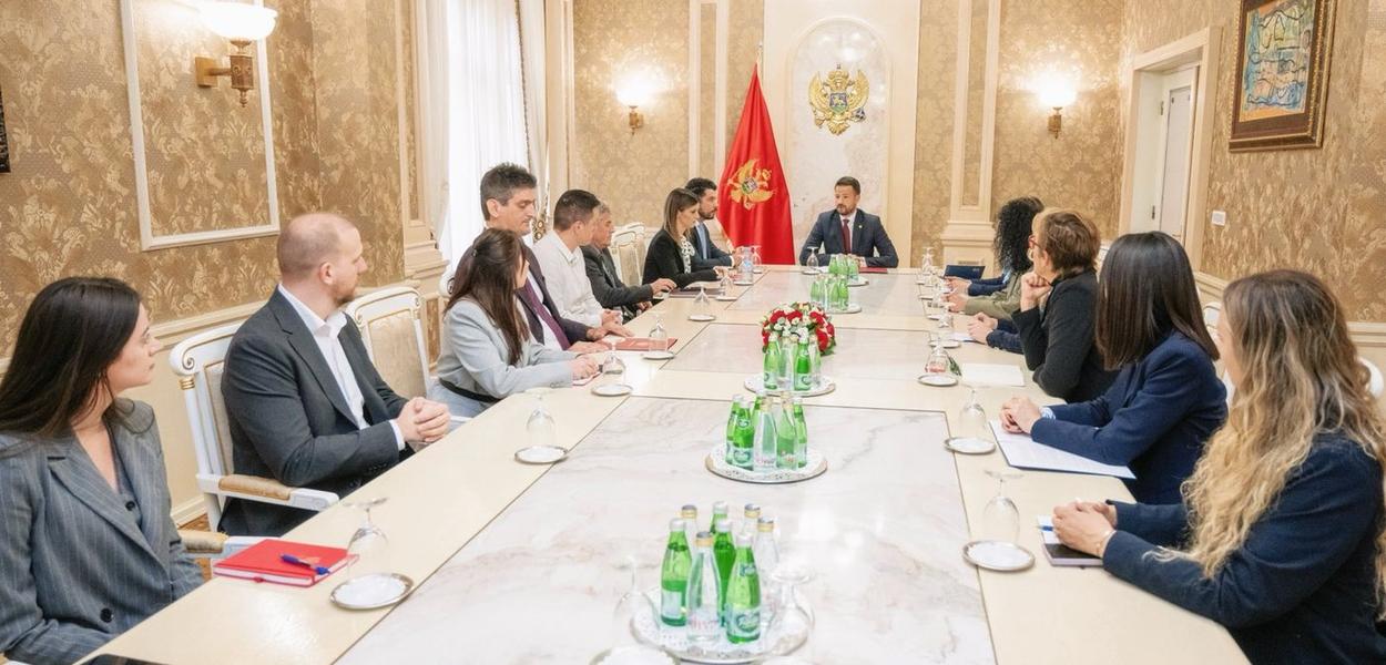 Milatović sa predstavnicima NVO (Foto: Kabinet predsjednika Crne Gore)
