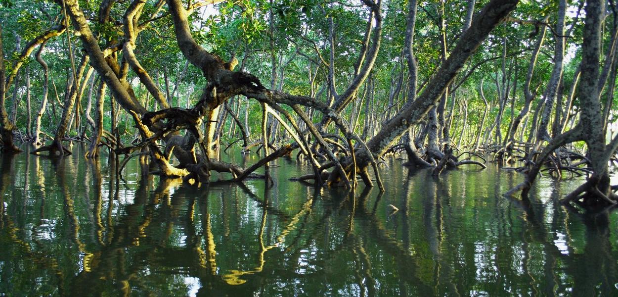 (Foto: Timothy K/Unsplash)