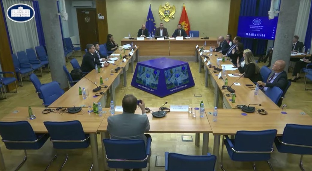 Odbor za međunarodne odnose i iseljenike (Foto: Skupština Crne Gore/Jutjub)