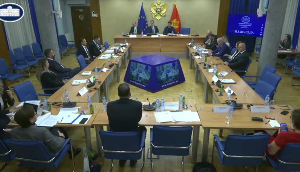 Sa sjednice Odbora (Foto: Stop kadar)