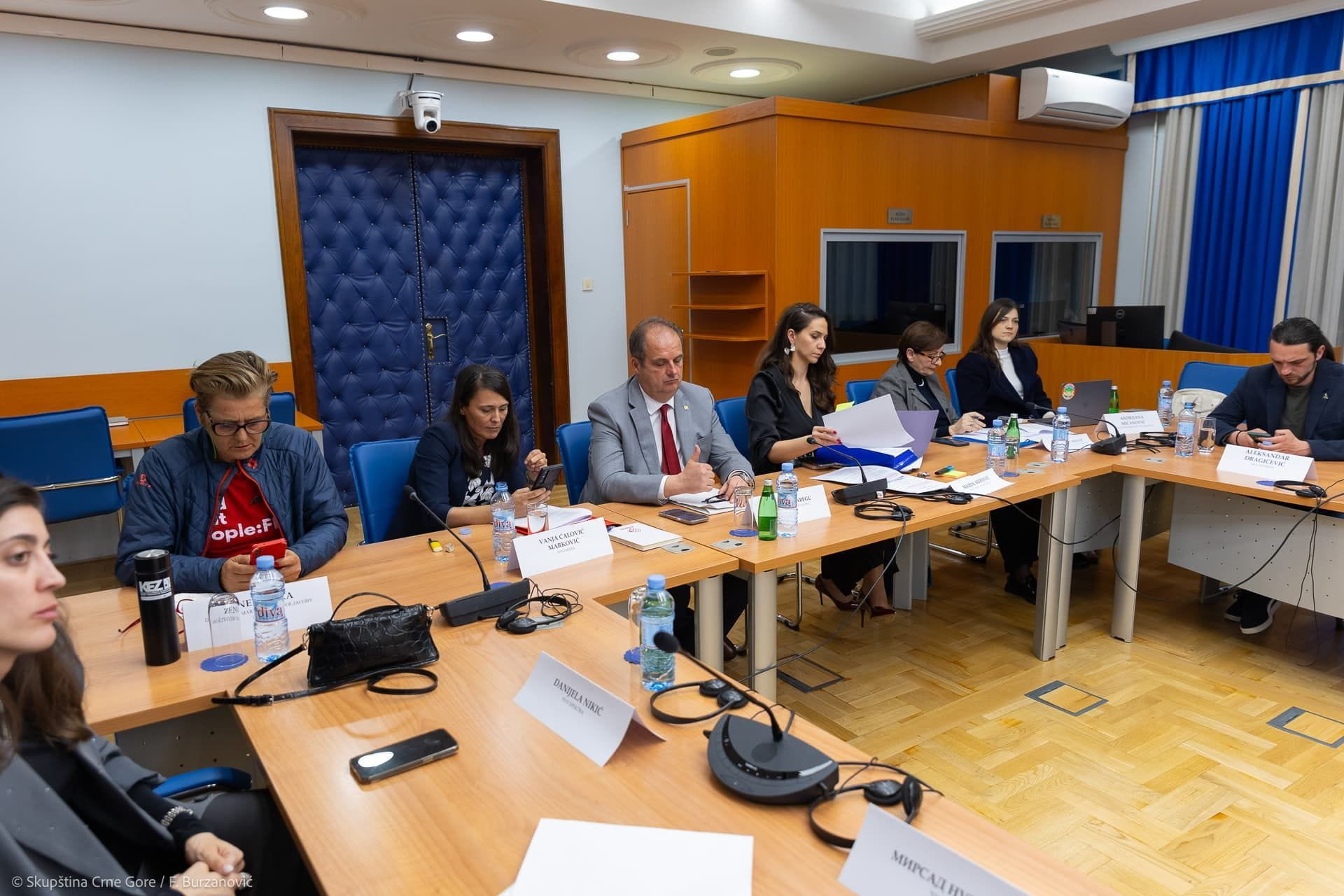 Predstavnici/e civilnog sektora na skupštinskom Odboru za ekonomiju, finansije i budžet