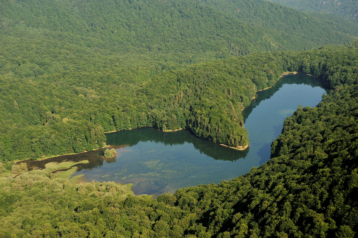 Biogradska gora (Foto: NPCG)