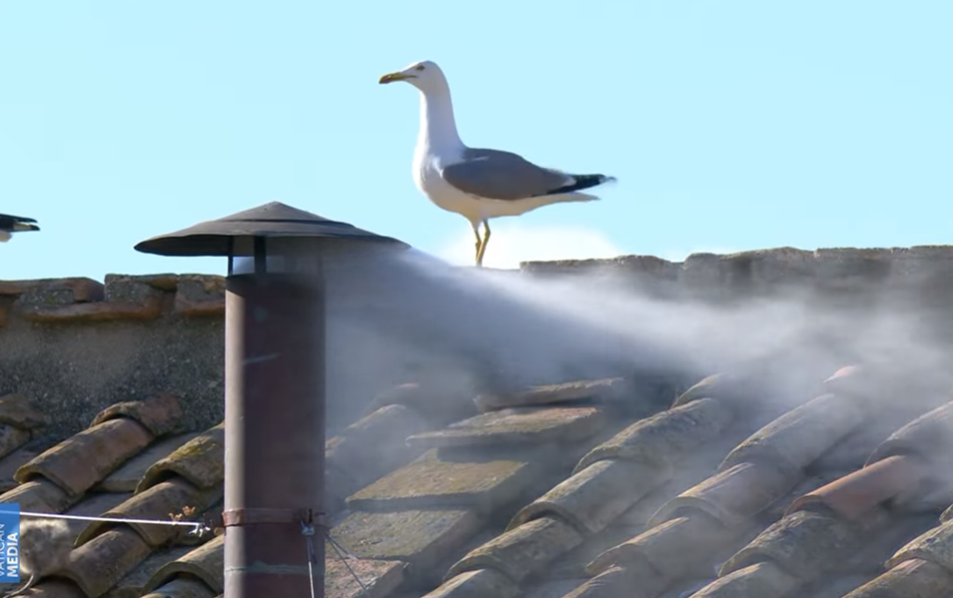 Trenutak kad se pojavio bijeli dim (Foto: Vatican media)