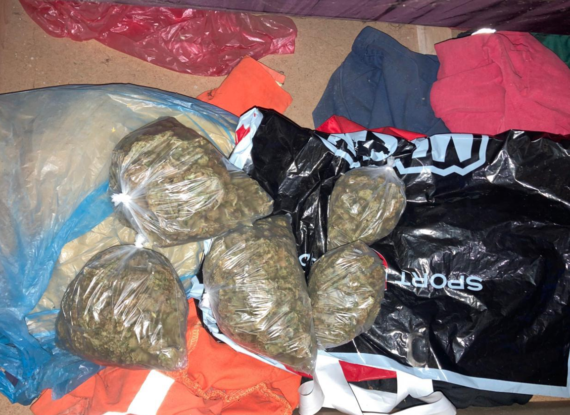 Oduzeta marihuana (Foto: Uprava policije)